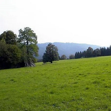 Apartmán U Semushki 2 *