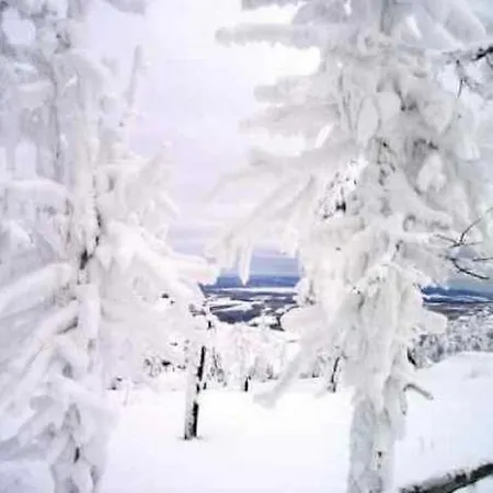Apartmán U Semushki 2 *