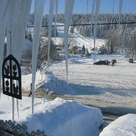 Apartmán U Semushki 2 *